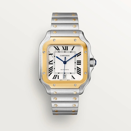 Cartier Santos - Steal/Gold White Dial